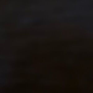 -PLATFORM CHECKERED VANS